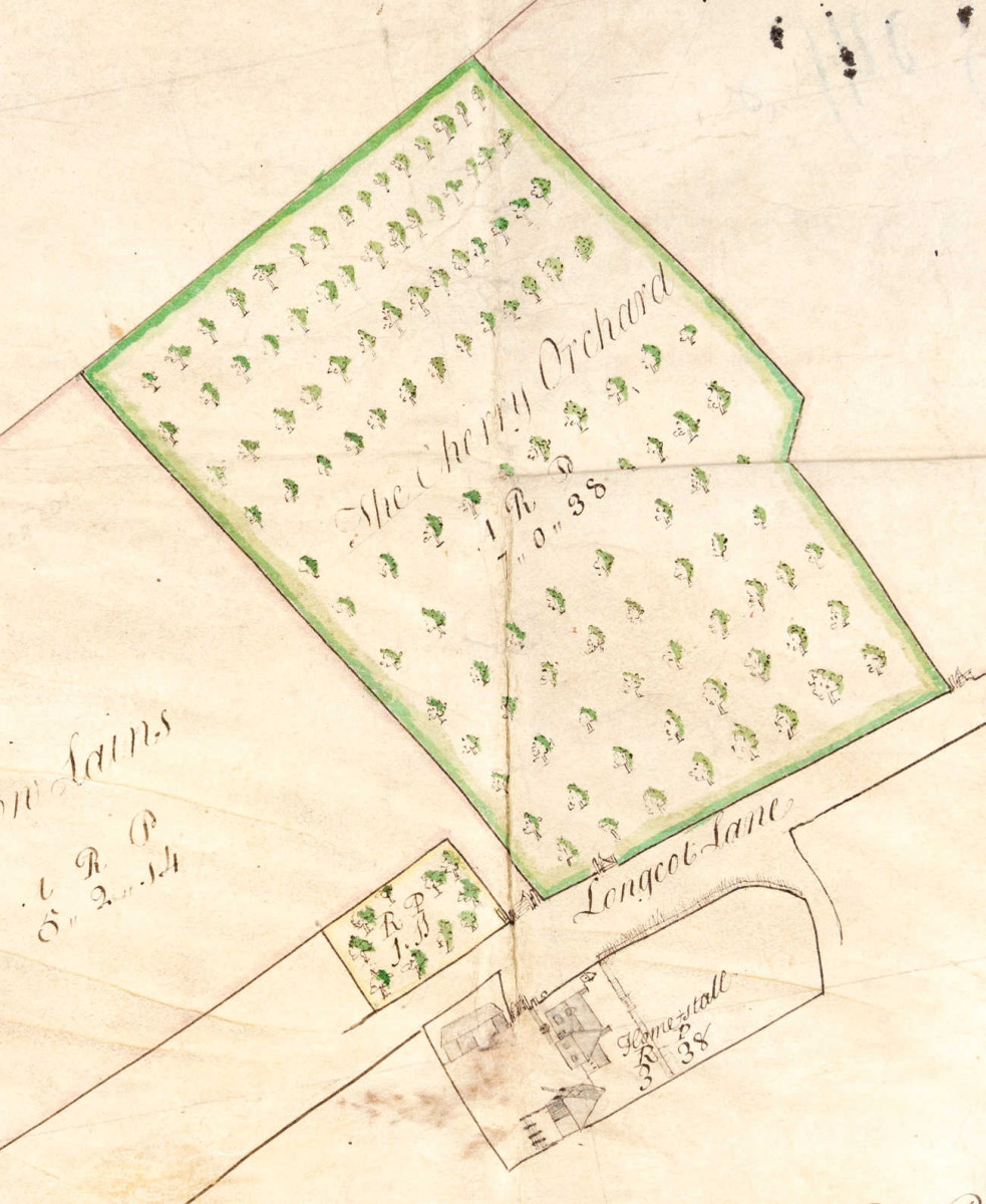 Extract from plan of Walter Turrel’s estate, Fernham, 1750 ref. D/ECR/P9