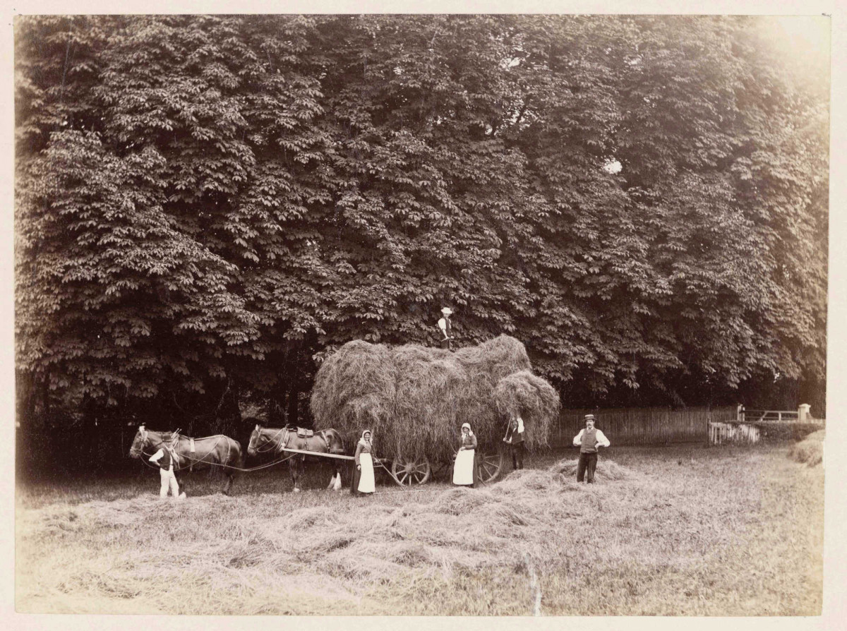 Black and White photo showing people standing around a large hay stack on a wagon. One person stands on top of the haystack. D/EZ198/5/3/5