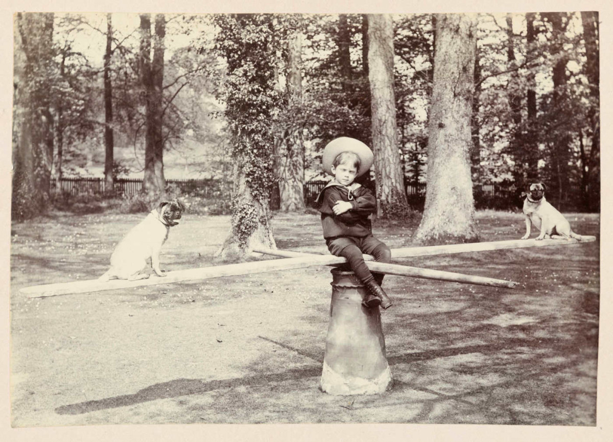 Black and white photo showing a boy sat in the middle of a seesaw roundabout with a dog sat on each end. D/EZ198/5/3/5